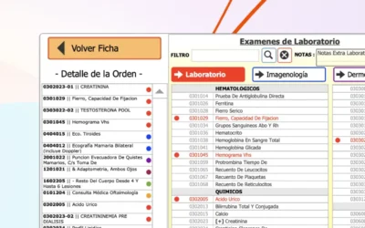 Nueva Interfaz MLE con Diferenciación de Sectores por Colores.